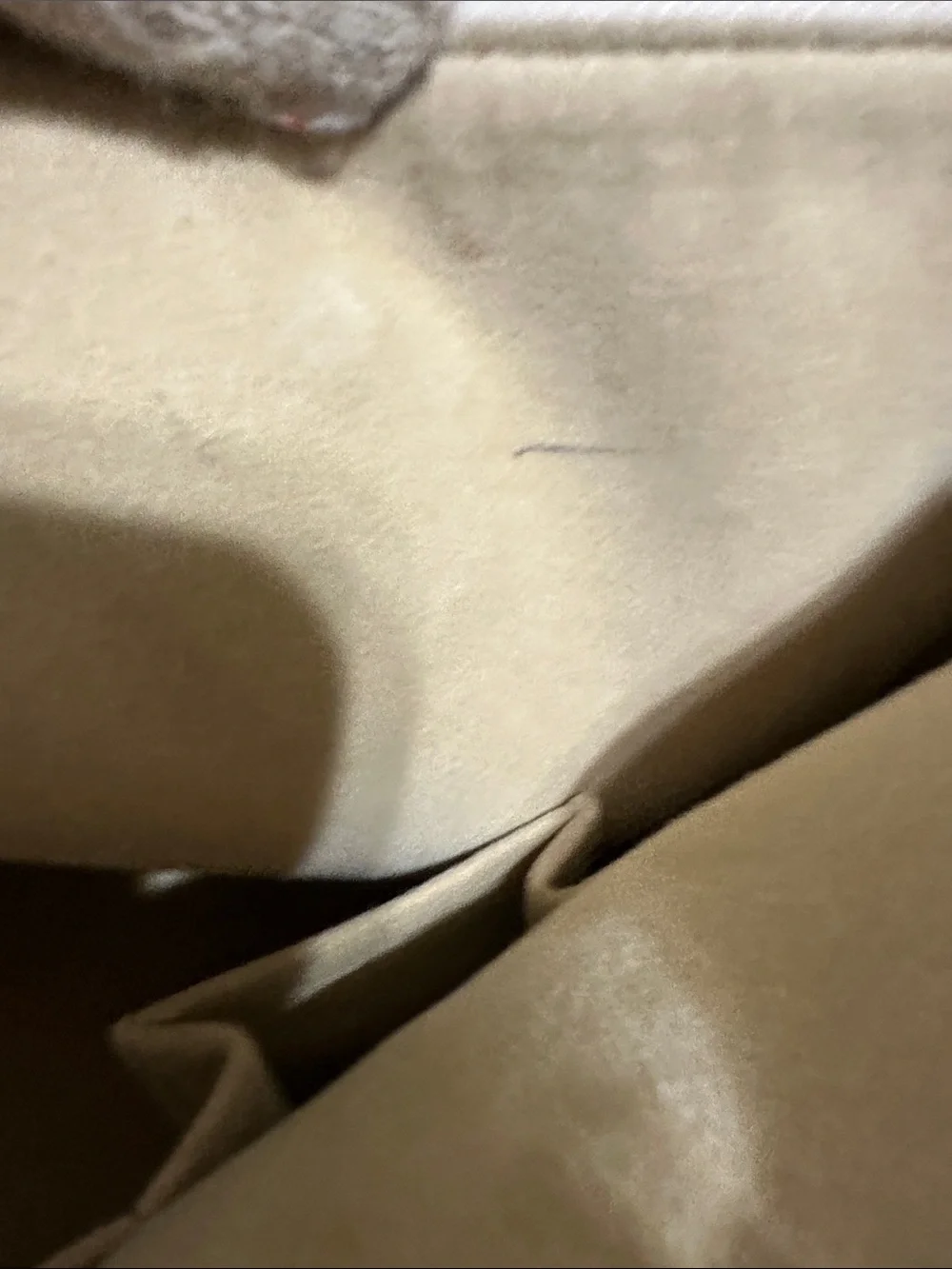 Louis Vuitton Saleya PM in Azur